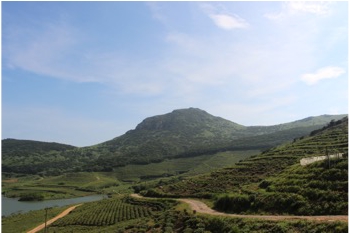 日韩人妻无码精品A片免费不卡