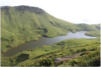 日韩人妻无码精品A片免费不卡