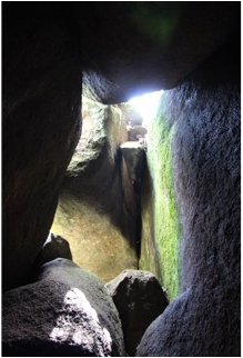 日韩人妻无码精品A片免费不卡