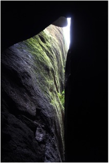 日韩人妻无码精品A片免费不卡