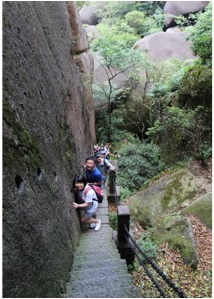 日韩人妻无码精品A片免费不卡