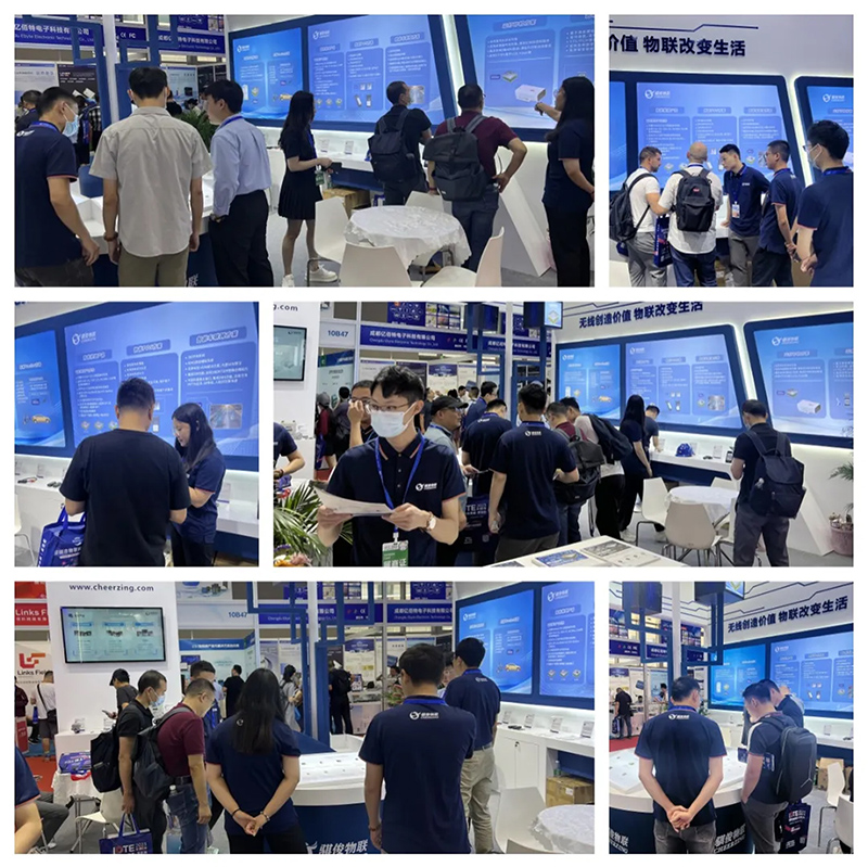 日韩人妻无码精品A片免费不卡